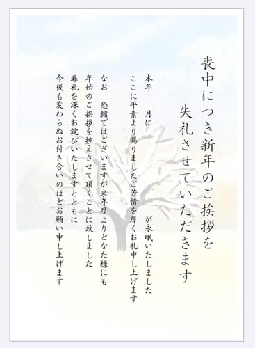 ＊喪中はがき（年賀状じまい文章）私製 20枚入り 詳細記入不要 61mMMzmReBL._UF350,350_QL50_.jpg